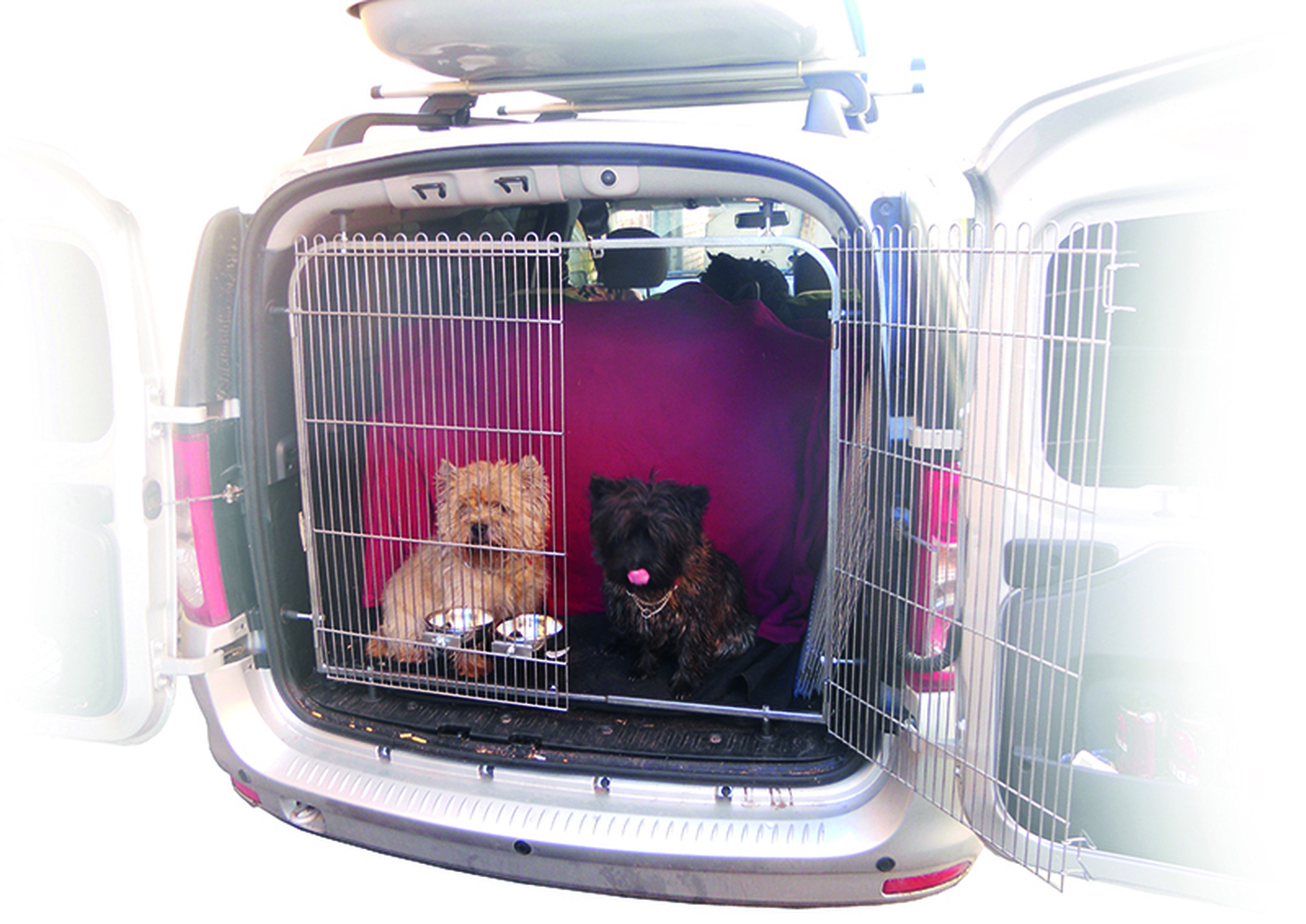 Фото Ограждение для собак в автомобиль Данко, регулируемое 