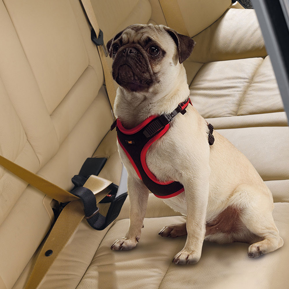 Фото Автомобильный ремень безопасности для собак Ferplast Dog travel belt 