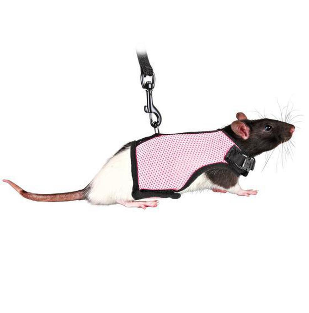 Фото Шлейка-жилетка Trixie для крыс, полиэстер/нейлон 