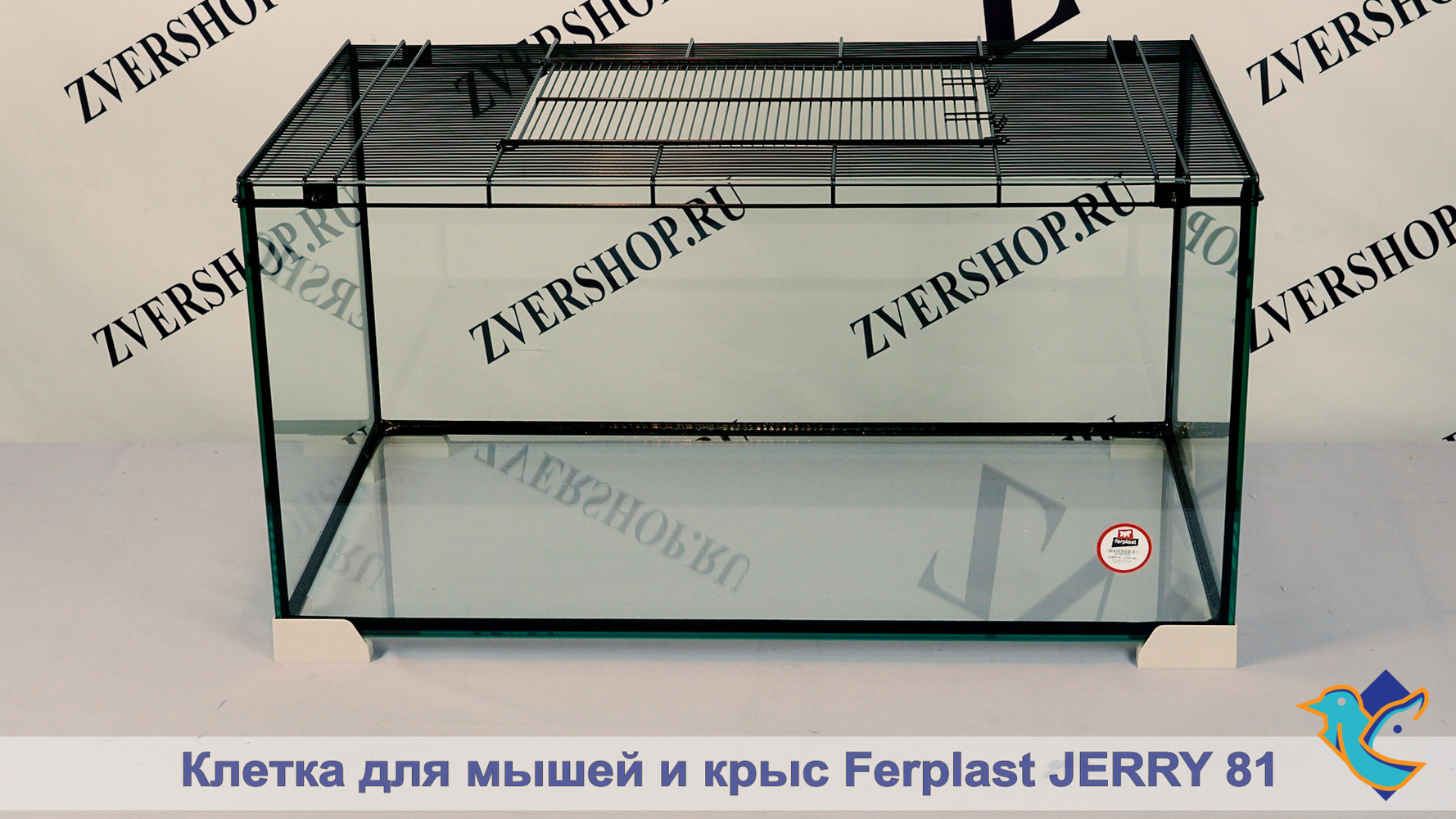 Фото Клетка Ferplast для мышей и крыс Jerry 81 стекло 81,7*46,9*43,1 см 