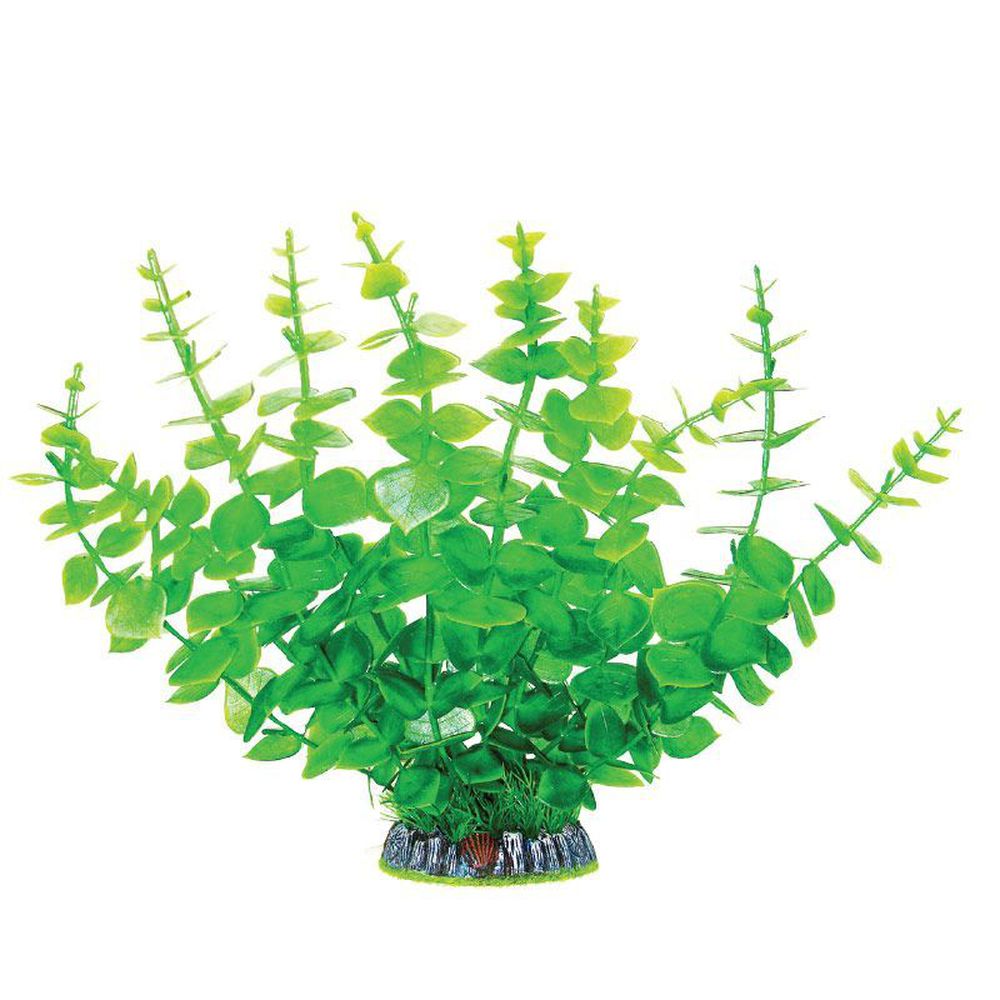 Фото Растение Laguna 30005AP с распылителем "Бакопа" желто-зеленая, 9*9*32 см 