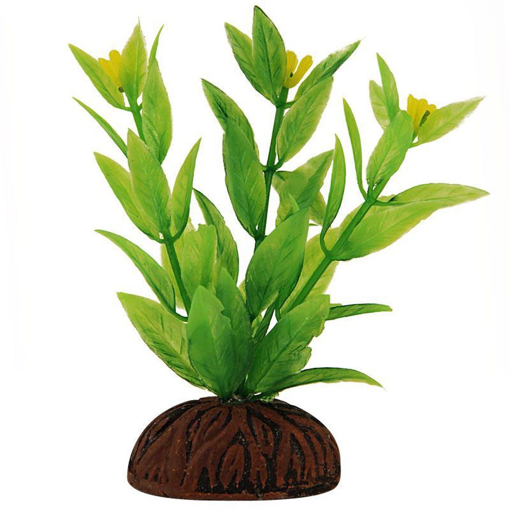 Фото Растение Triol 0861 "Альтернантера" зеленая цветущая, 8 см 