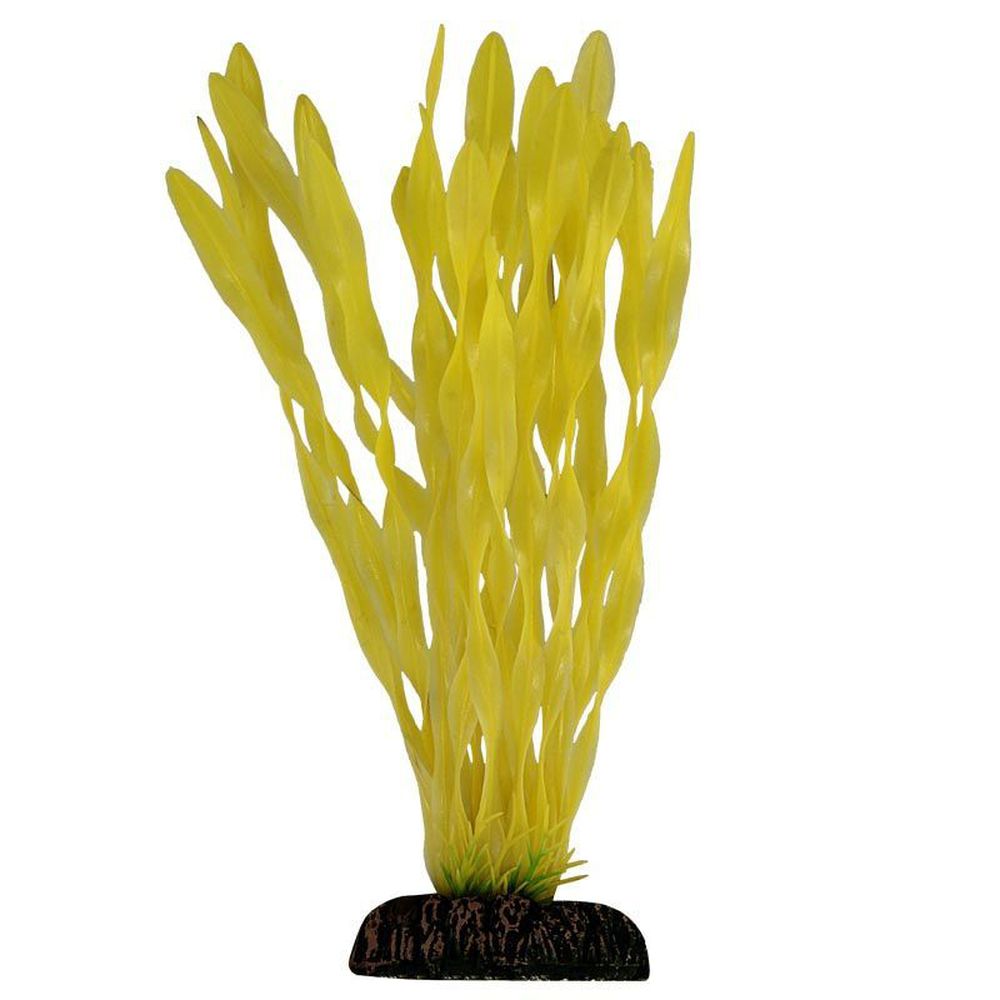 Фото Растение Laguna светящееся "Валлиснерия" желтое 