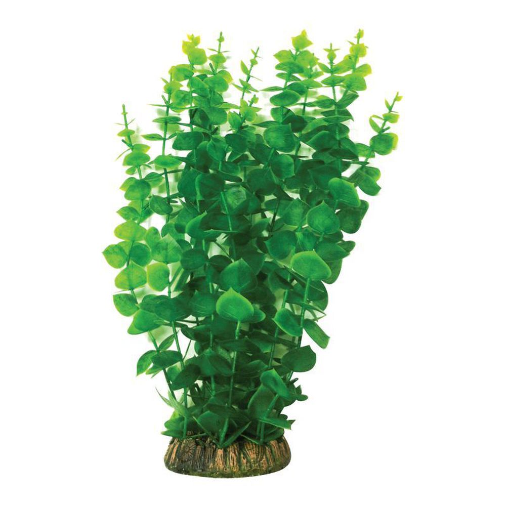 Фото Растение Laguna 4015AP с распылителем "Бакопа" зеленая, 40 см 