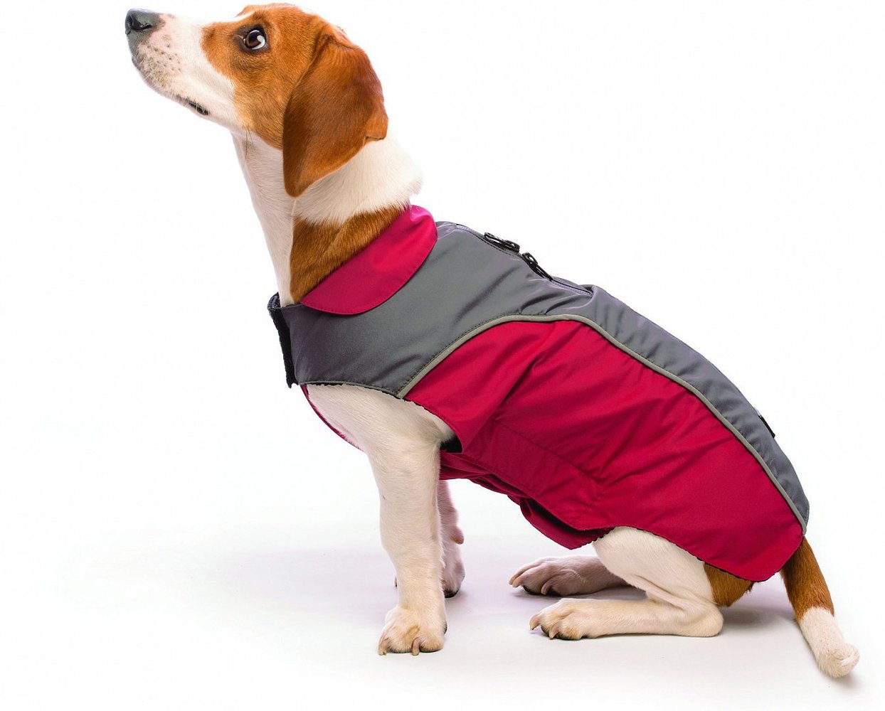 Фото Куртка демисезонная Dog Gone Smart NanoBreaker Jacket 