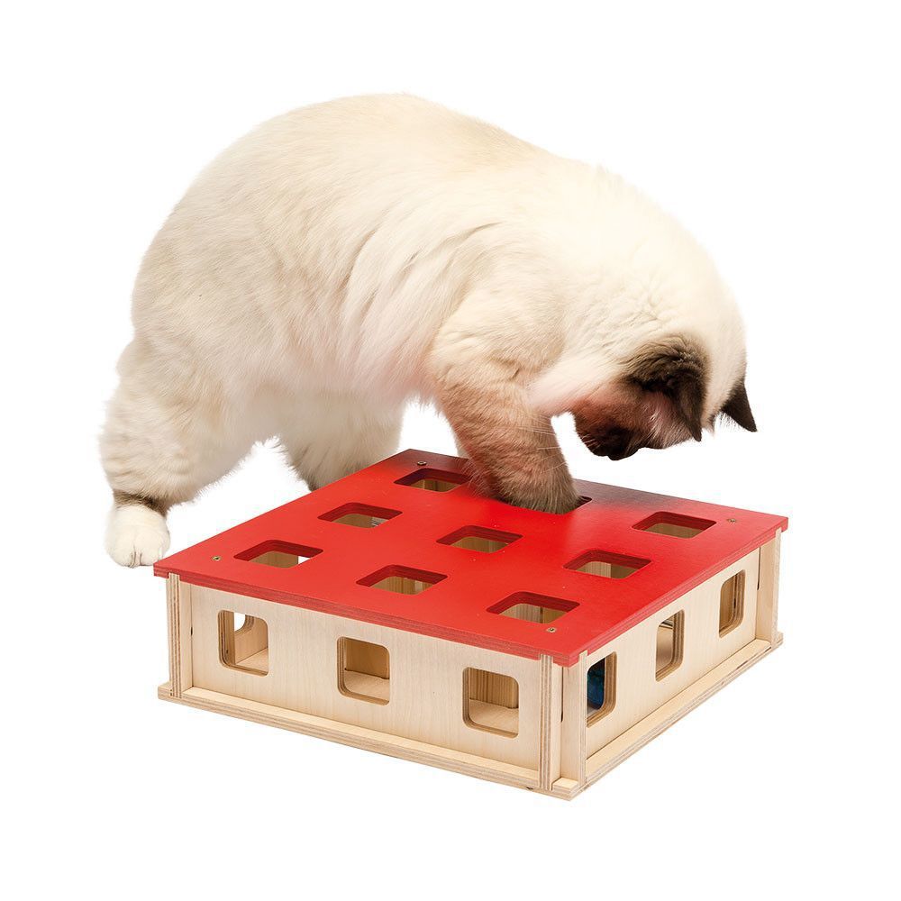 Фото Игрушка Ferplast Magic Box для кошек 27*27*8,5 см 