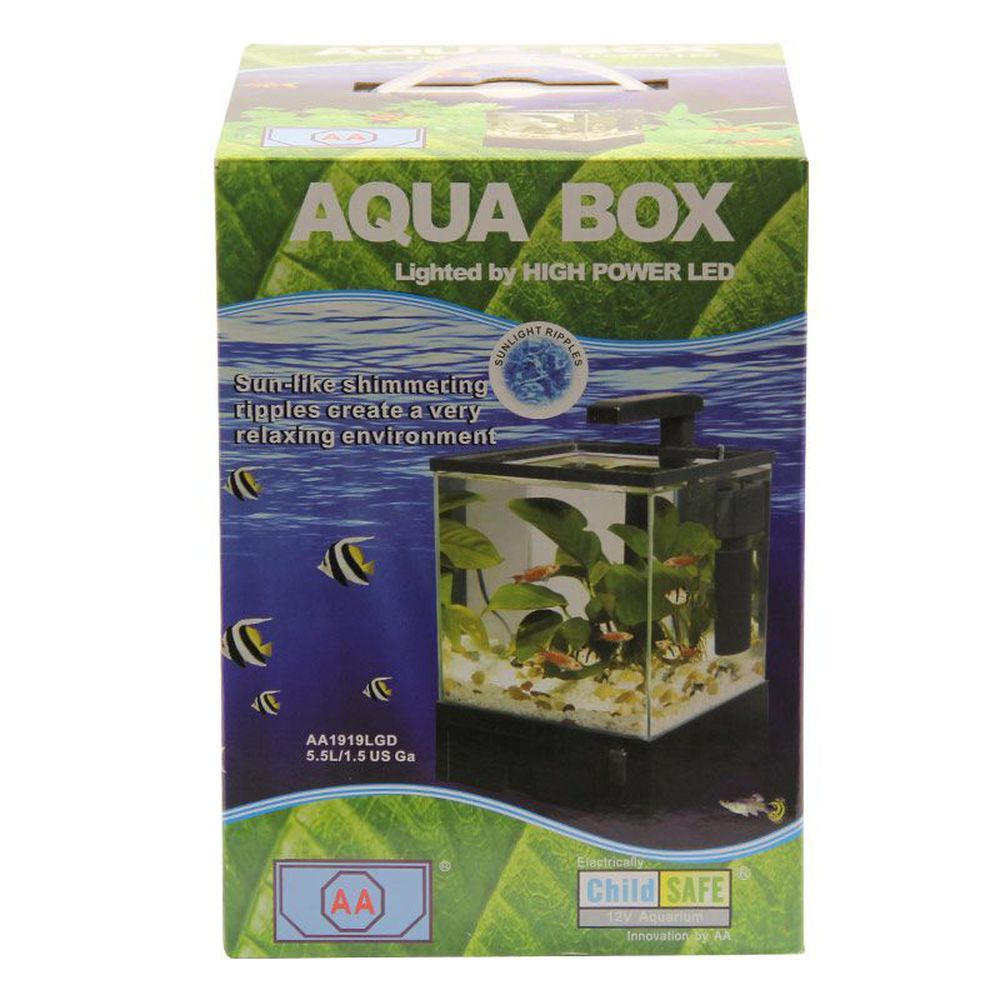Фото Аквариум AA-Aquariums 1919AA "Aqua Box", 5,5 л, 19*22*29.5 см 