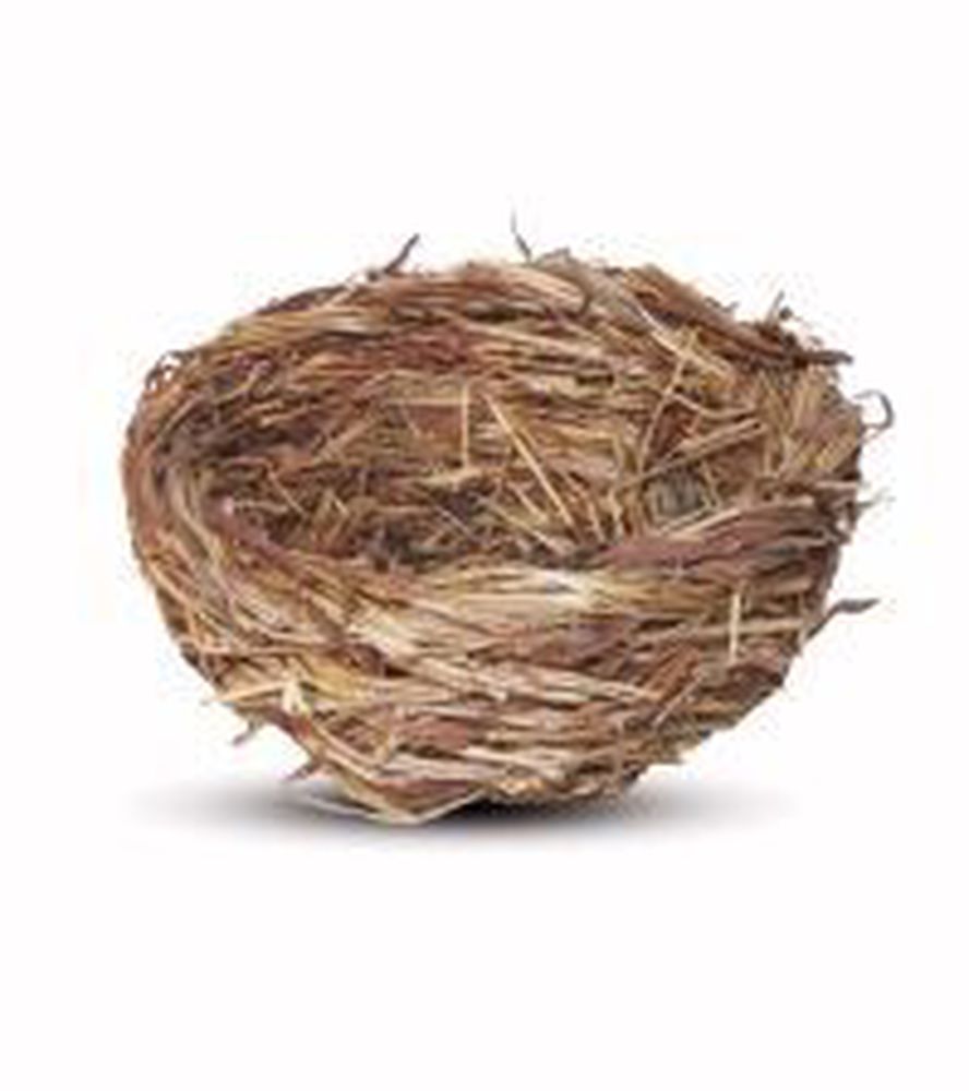 Фото Гнездо плетёное с ветками для птиц плоское, 120х55 мм PT6185 