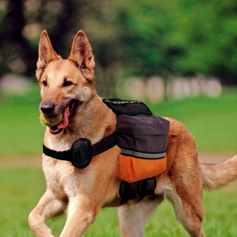 Фото Вьючная сумка для собак Ferplast Dog Scout 
