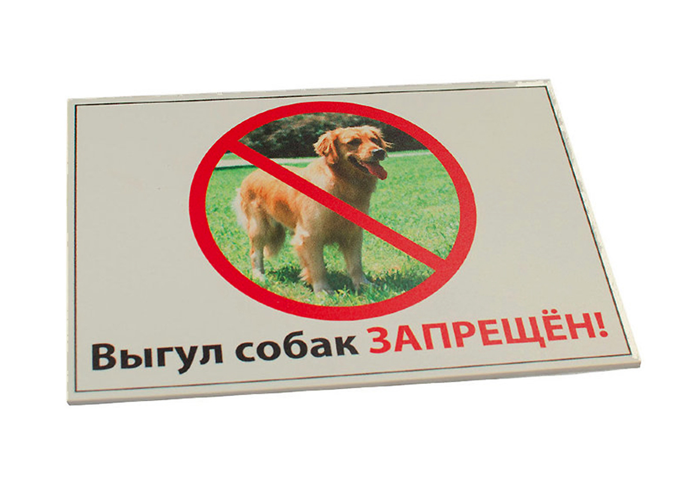 Фото Информационная табличка Данко "Выгул собак запрещен!" 