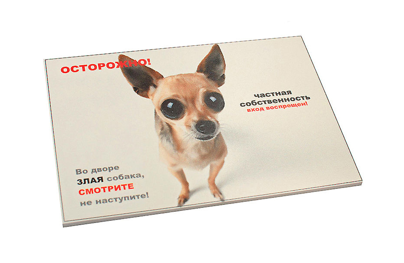 Фото Информационная табличка Данко "Осторожно! Злая собака" 