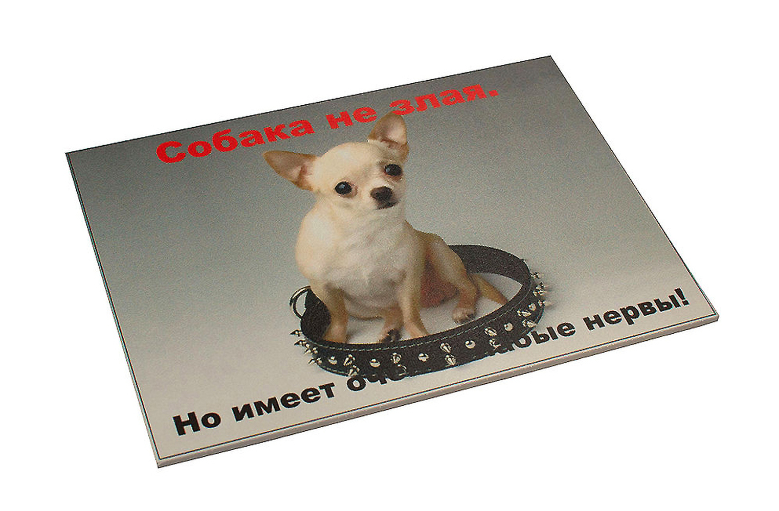 Фото Информационная табличка Данко "Собака не злая, но имеет очень слабые нервы!" 