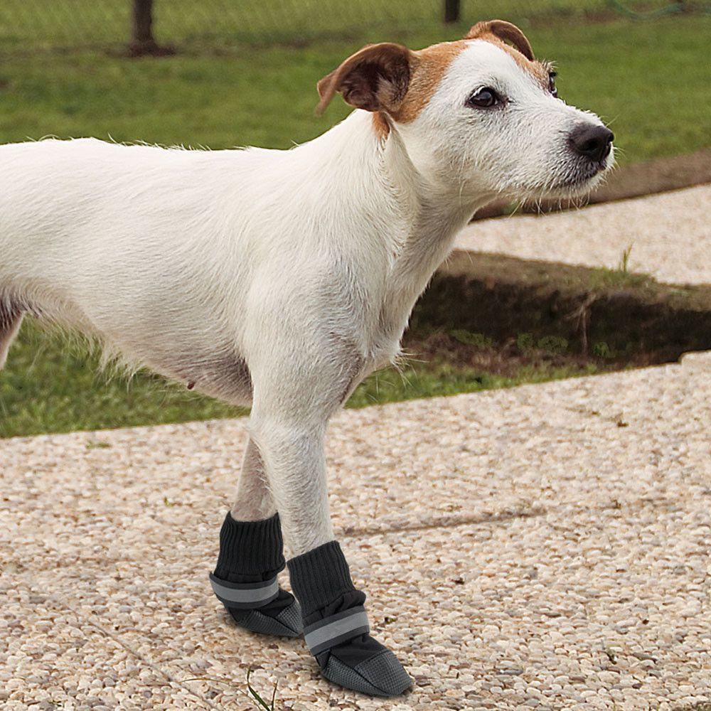 Фото Защитная обувь Ferplast для собак Protective Shoes 